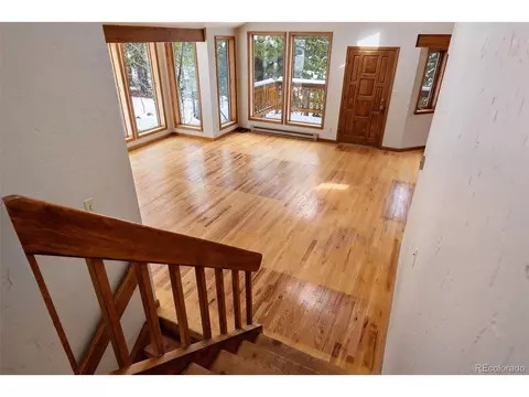 121 Iris Dr, Bailey, CO 80421 photo 14