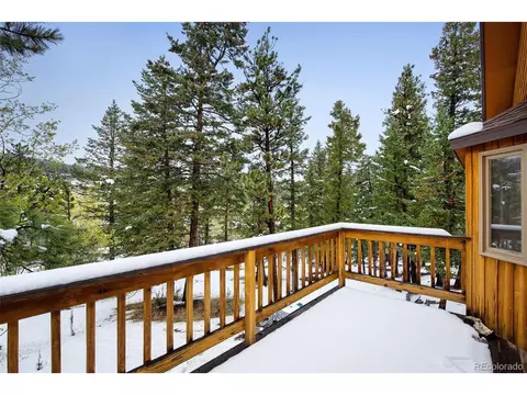 121 Iris Dr, Bailey, CO 80421 photo 32