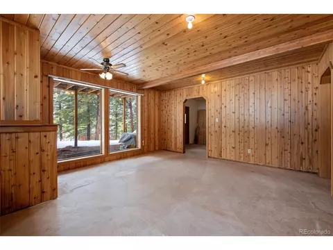 121 Iris Dr, Bailey, CO 80421 photo 29