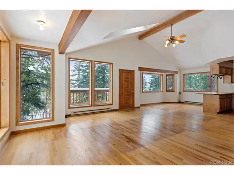 121 Iris Dr, Bailey, CO 80421 photo 3
