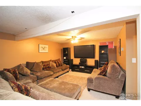 11156 Forest Ave, Thornton, CO 80233 photo 12