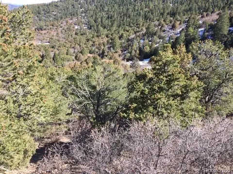 Undisclosed, Howard, CO 81233 photo 5
