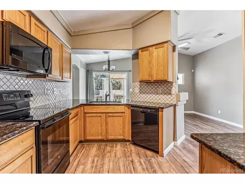 20564 E 47th Ave, Denver, CO 80249 photo 10