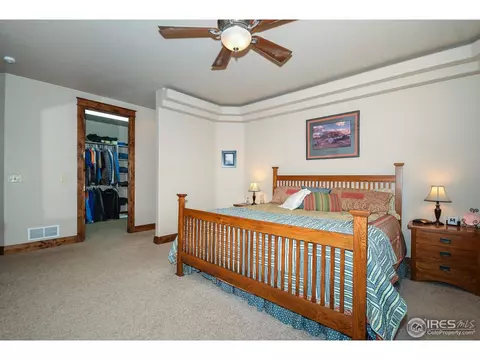 421 Whitney Hbr, Windsor, CO 80550 photo 14