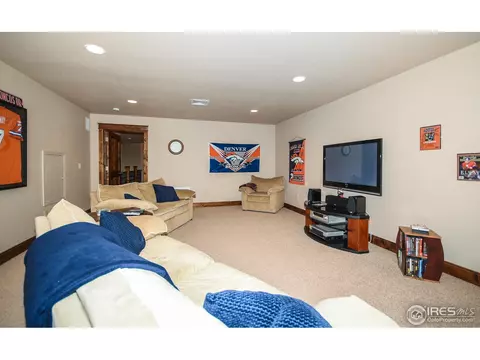 421 Whitney Hbr, Windsor, CO 80550 photo 19
