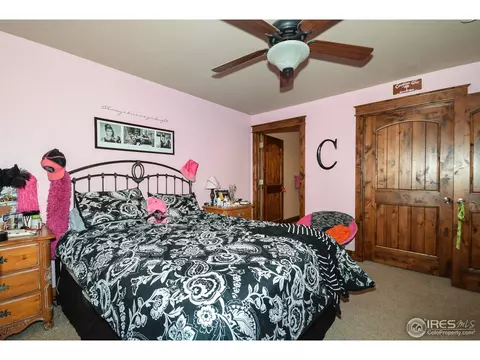 421 Whitney Hbr, Windsor, CO 80550 photo 20