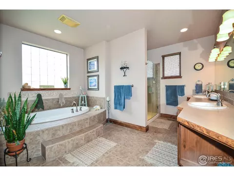 421 Whitney Hbr, Windsor, CO 80550 photo 15