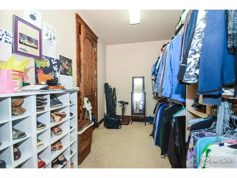421 Whitney Hbr, Windsor, CO 80550 photo 16