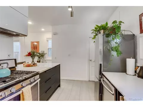 1009 E 10th Ave, Denver, CO 80218 photo 27