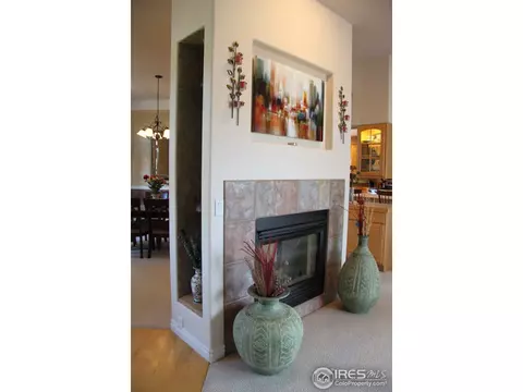 9287 E 153rd Ave, Brighton, CO 80602 photo 6