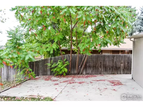 905 Pasque Dr, Longmont, CO 80504 photo 14