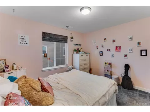 7016 Thunderview Dr, Timnath, CO 80547 photo 41
