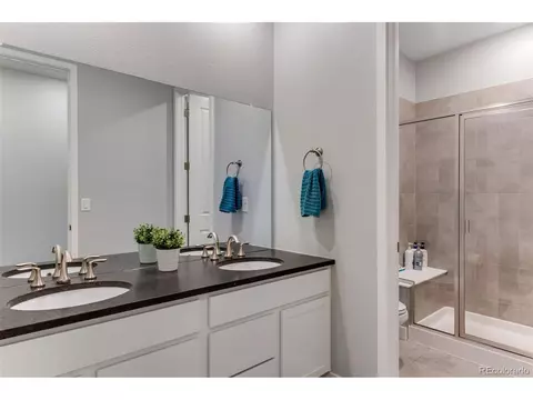 7016 Thunderview Dr, Timnath, CO 80547 photo 35