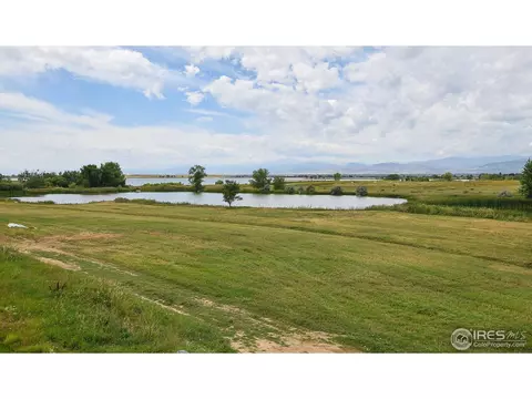6905 Summerwind Ct, Timnath, CO 80547 photo 5
