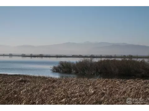 6905 Summerwind Ct, Timnath, CO 80547 photo 8