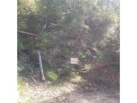 Backwoods Trail, Evergreen, CO 80439