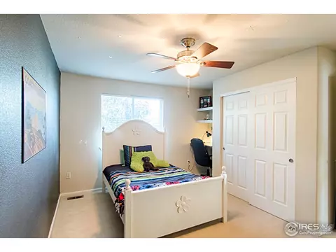 10215 Dresden St, Firestone, CO 80504 photo 18