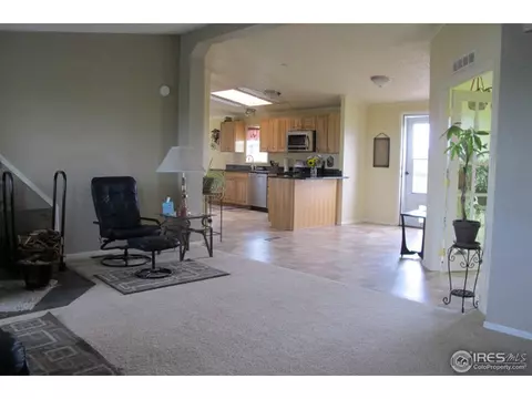 33723 E 142nd Pl, Hudson, CO 80642 photo 7