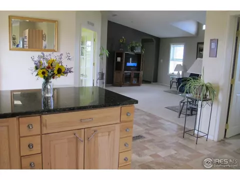 33723 E 142nd Pl, Hudson, CO 80642 photo 6