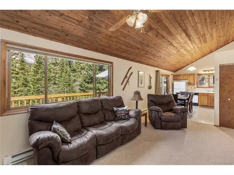 Living - 235 Nuthatch Dr, Alma, CO 80420 photo 4 of 5