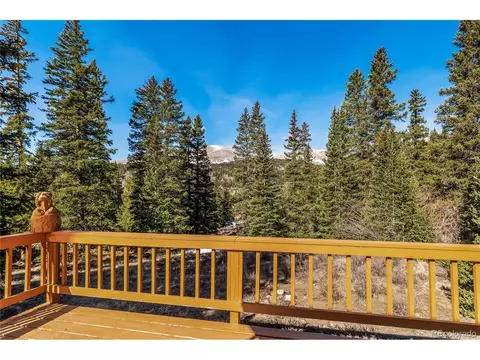 Exterior - 235 Nuthatch Dr, Alma, CO 80420 photo 6 of 9