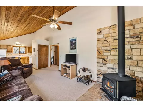 Living - 235 Nuthatch Dr, Alma, CO 80420 photo 2 of 5