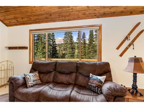 Living - 235 Nuthatch Dr, Alma, CO 80420 photo 1 of 5