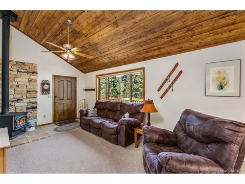 Living - 235 Nuthatch Dr, Alma, CO 80420 photo 3 of 5