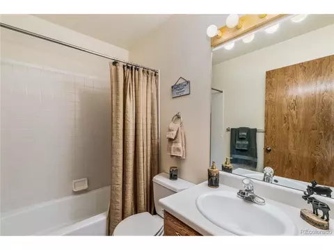 Bath - 235 Nuthatch Dr, Alma, CO 80420 photo 1 of 1