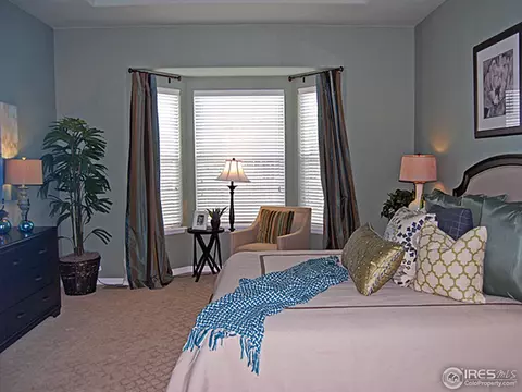 2082 Vineyard Dr, Windsor, CO 80550 photo 7