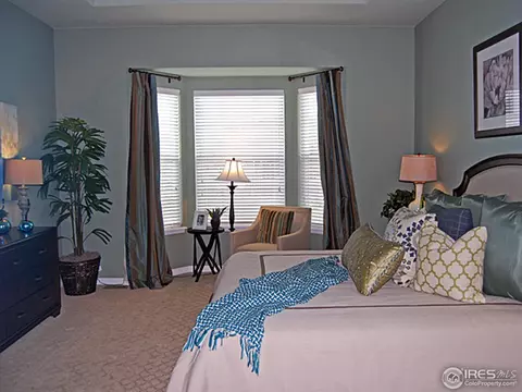 2091 Vineyard Dr, Windsor, CO 80550 photo 7