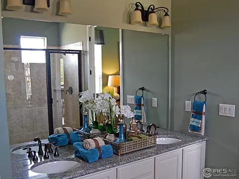 2091 Vineyard Dr, Windsor, CO 80550 photo 8