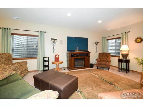 3657 Watts St, Timnath, CO 80547 photo 18