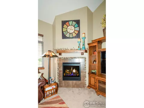 3657 Watts St, Timnath, CO 80547 photo 8