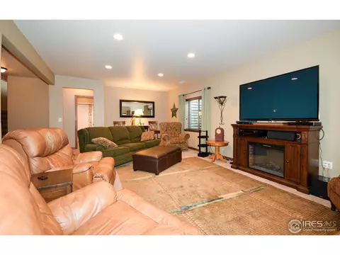 3657 Watts St, Timnath, CO 80547 photo 19