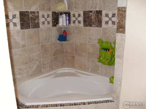 810 Douglas Pl, Berthoud, CO 80513 photo 8