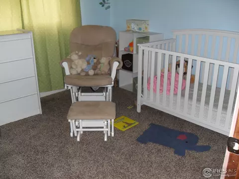 810 Douglas Pl, Berthoud, CO 80513 photo 9
