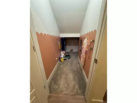 9007 E 60th Ave, Denver, CO 80238 photo 31