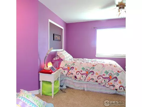 10225 Deerfield St, Firestone, CO 80504 photo 13