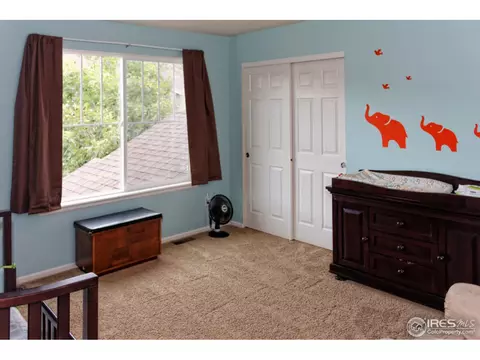 132 Falcon Ln, Lyons, CO 80540 photo 22