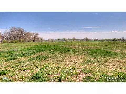 12416 N 63rd St, Longmont, CO 80503 photo 10
