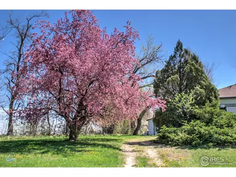 12416 N 63rd St, Longmont, CO 80503 photo 8