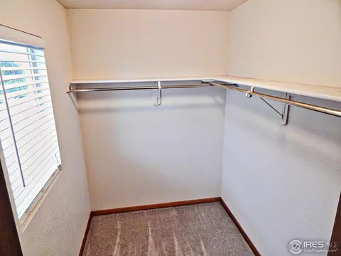 722 Apple Ct, Windsor, CO 80550 photo 12