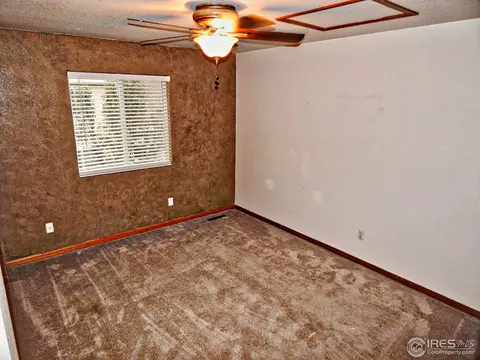 722 Apple Ct, Windsor, CO 80550 photo 9