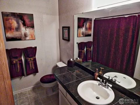 722 Apple Ct, Windsor, CO 80550 photo 13