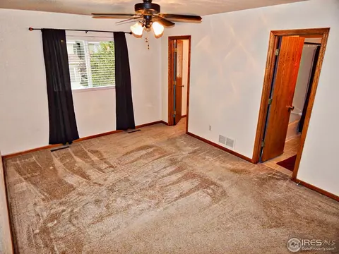 722 Apple Ct, Windsor, CO 80550 photo 11