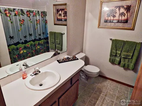 722 Apple Ct, Windsor, CO 80550 photo 8