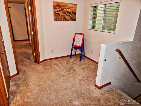 722 Apple Ct, Windsor, CO 80550 photo 10