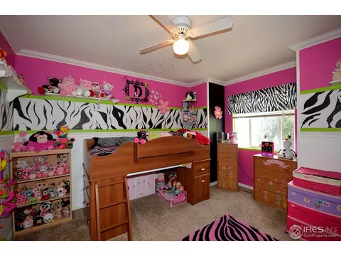 1202 Tanglewood Ct, Windsor, CO 80550 photo 14