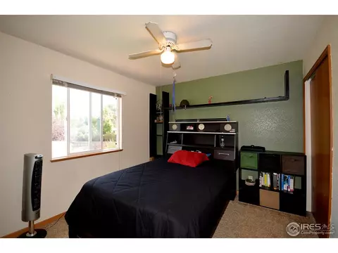 1202 Tanglewood Ct, Windsor, CO 80550 photo 13